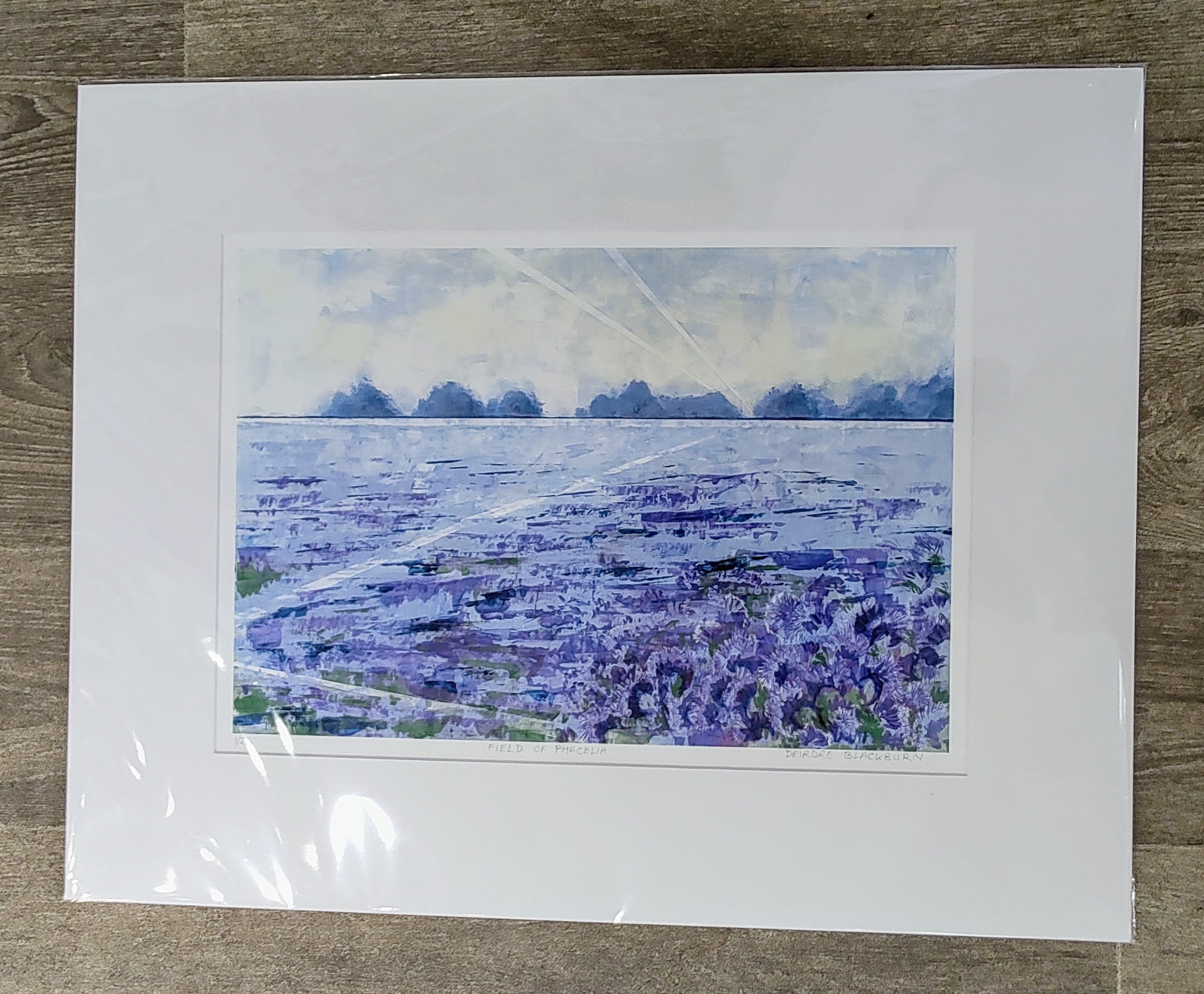 Deirdre Blackburn- Field of Phacelia, Limited Edition Mounted Giclee Print - Primrose Gallery and Framing 