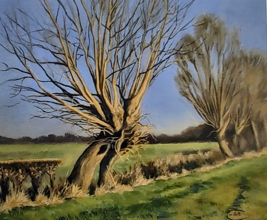 Cordell Garfield- Crack Willow at Stoke Bruerne, Mounted Giclee Print