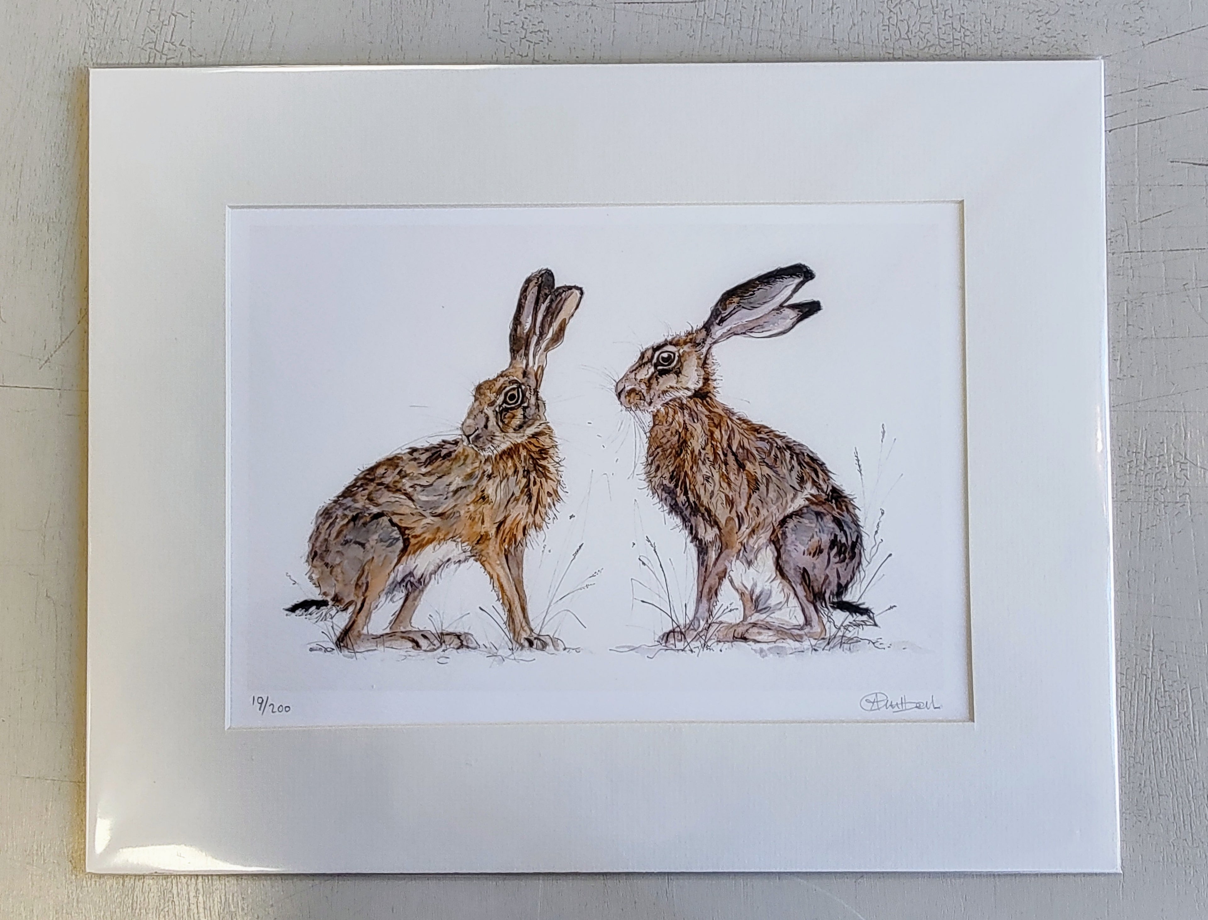 Anne Gilbert - Den and Daisy Hares, Mounted limited Edition Print - Primrose Gallery and Framing 