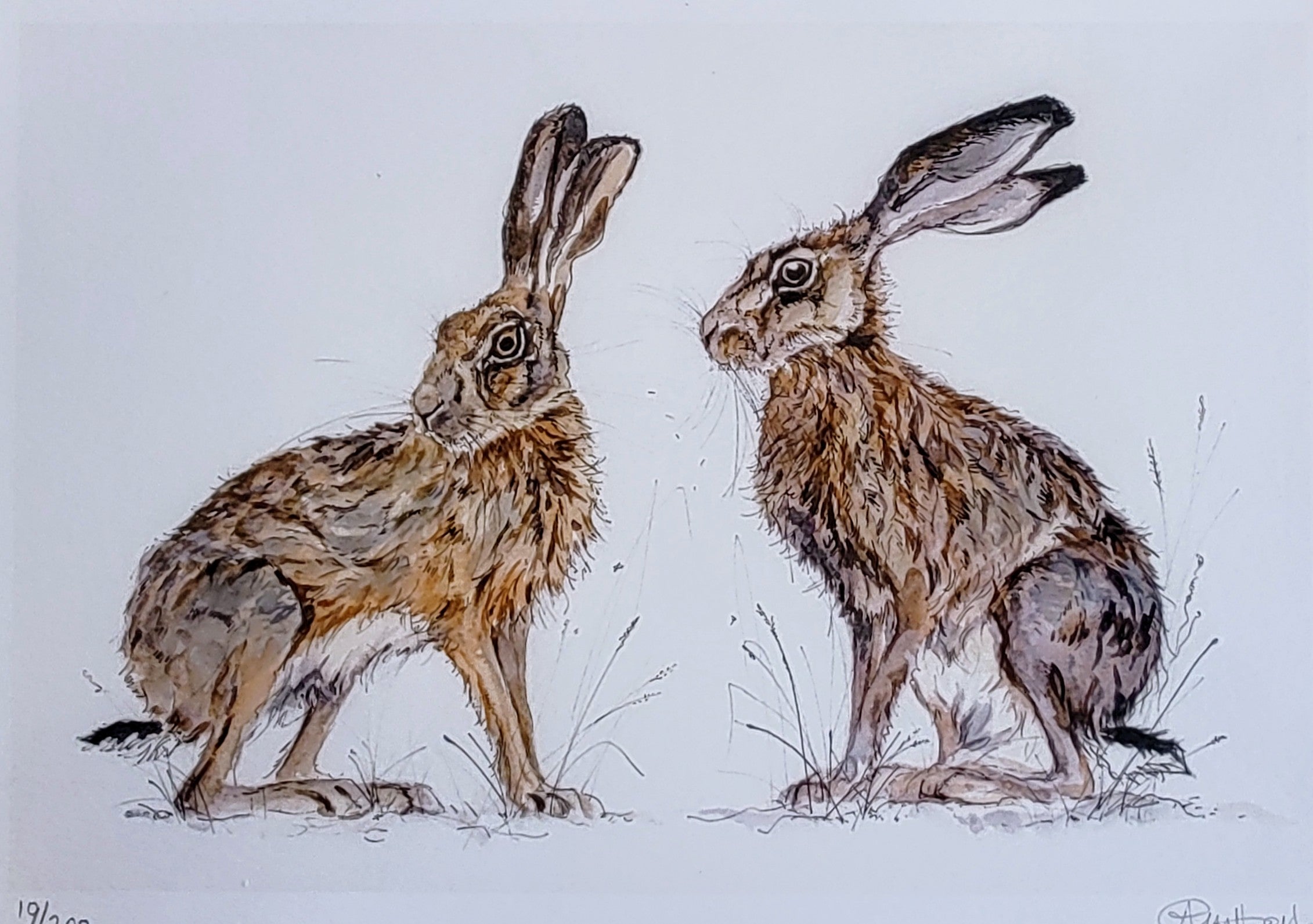 Anne Gilbert - Den and Daisy Hares, Mounted limited Edition Print - Primrose Gallery and Framing 