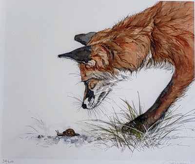 Anne Gilbert - Fox and Snail, Mounted limited Edition Print - Primrose Gallery and Framing 