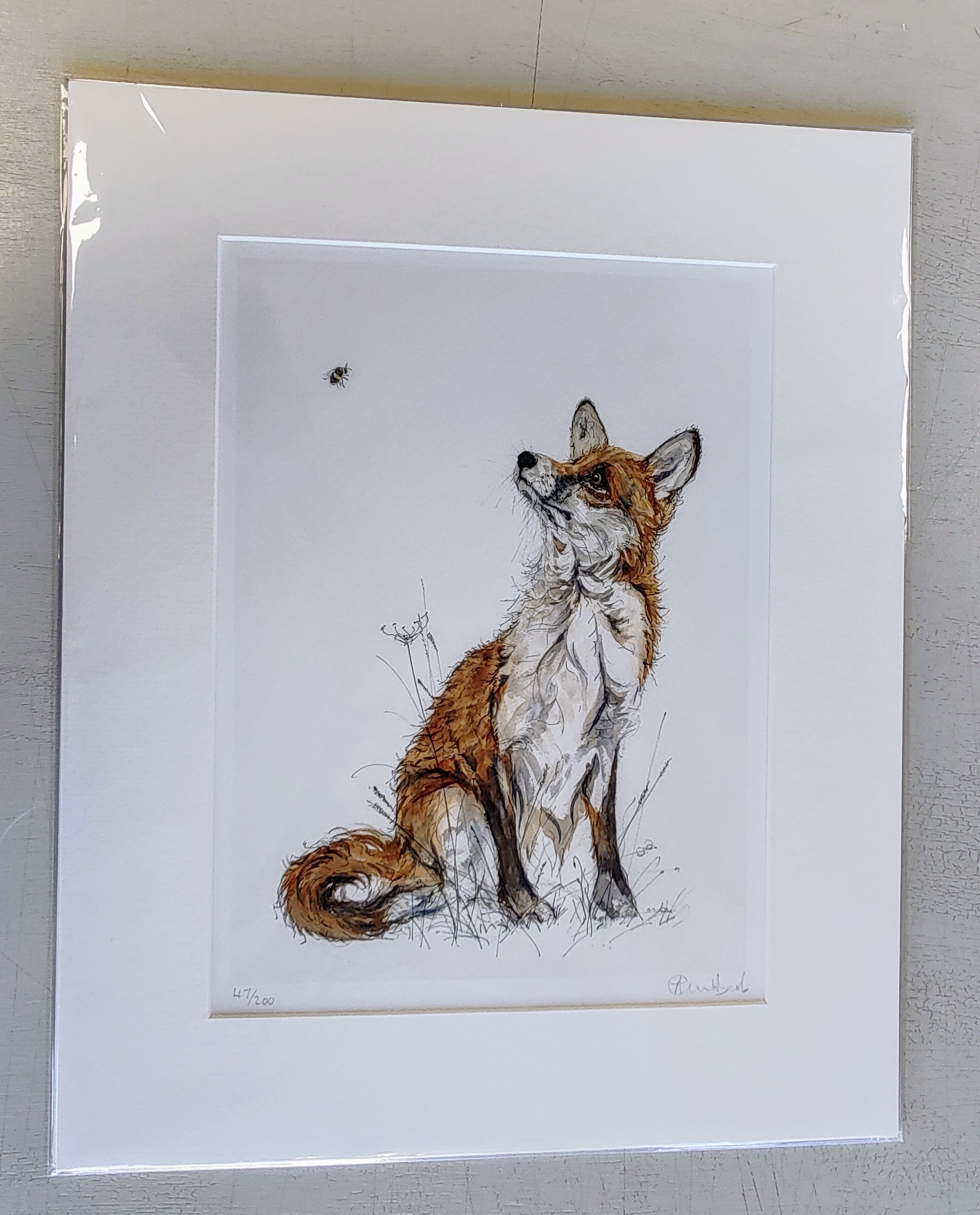 Anne Gilbert - Fox and Bee, Mounted limited Edition Print - Primrose Gallery and Framing 