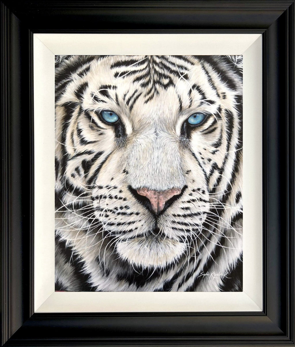 Sophie Bliss Kilpatrick - Icy Stare