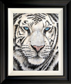 Sophie Bliss Kilpatrick - Icy Stare