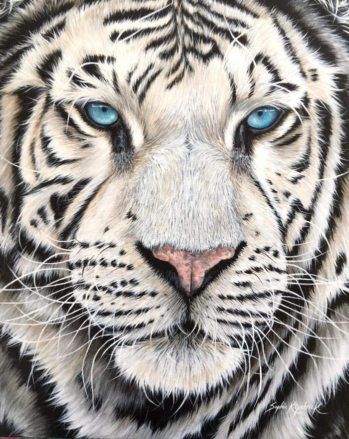 Sophie Bliss Kilpatrick - Icy Stare