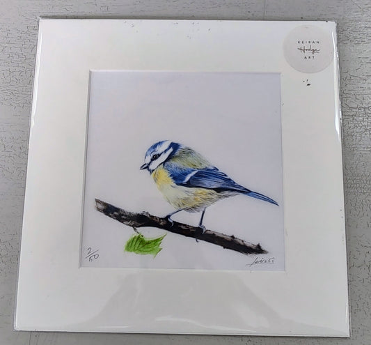 Keiran Hodge- Blue Tit, Limited Edition Print
