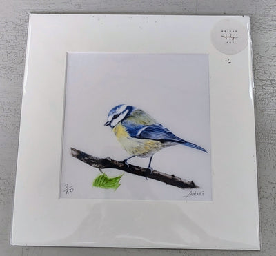 Keiran Hodge- Blue Tit, Limited Edition Print - Primrose Gallery and Framing 