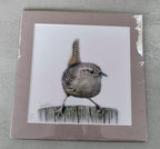 Keiran Hodge- Wren, Limited Edition Print of a British Wren - Primrose Gallery and Framing 