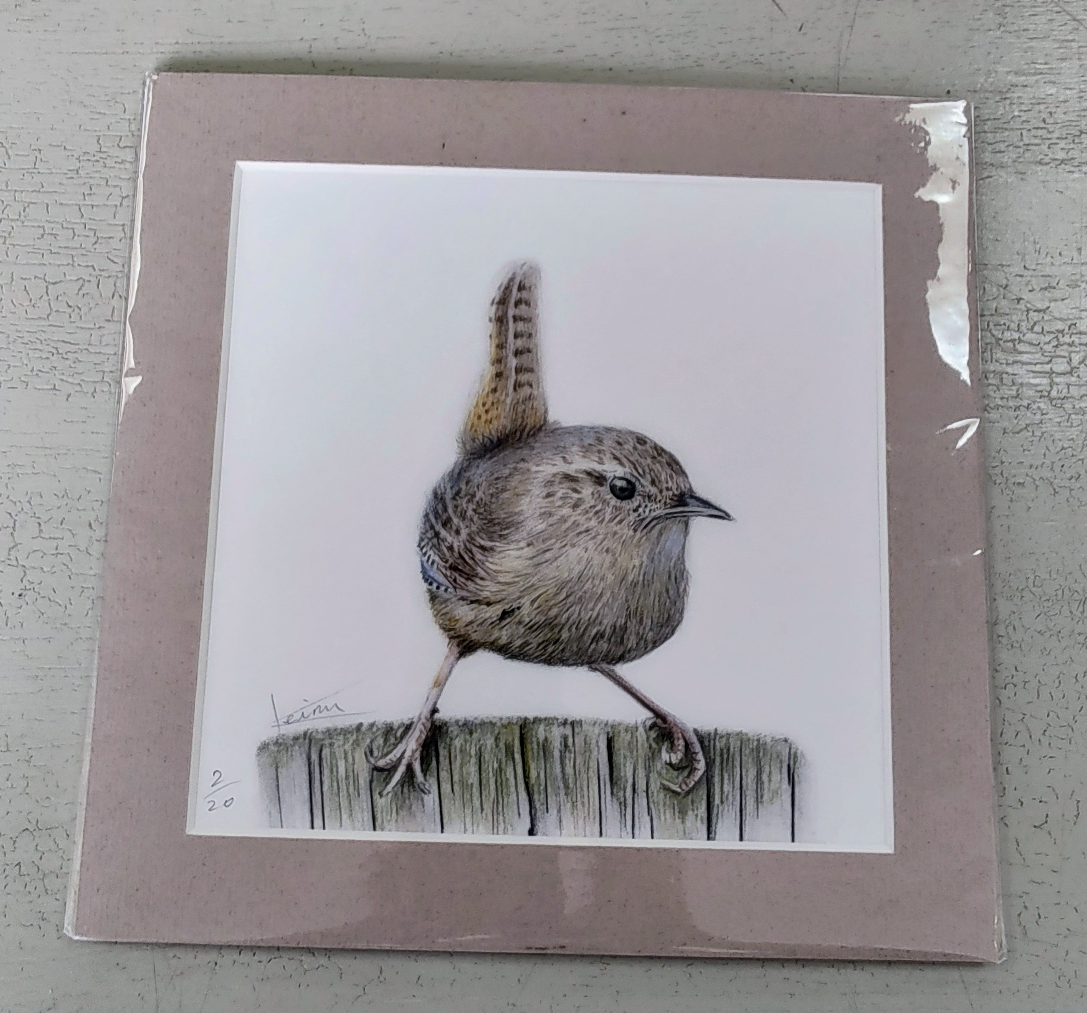 Keiran Hodge- Wren, Limited Edition Print of a British Wren - Primrose Gallery and Framing 