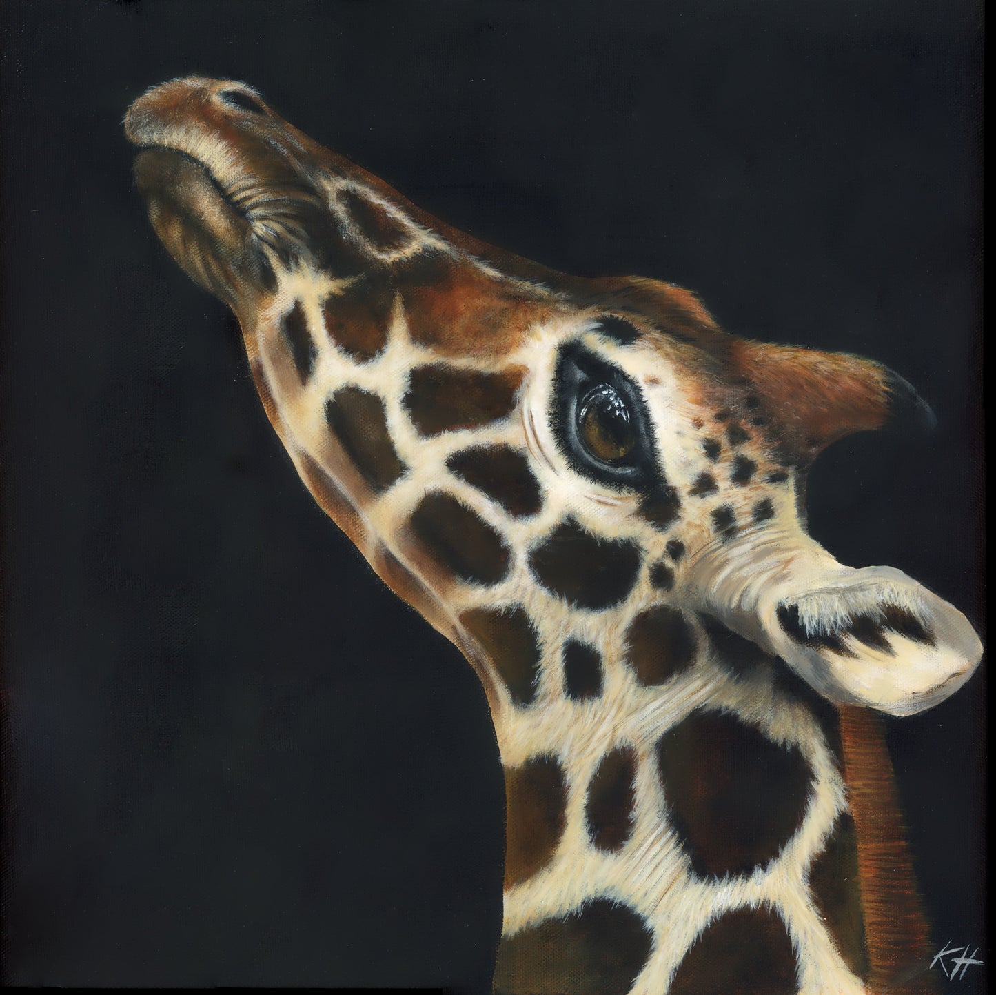 Keiran Hodge- Wilfred Giraffe, Limited Edition mounted Print