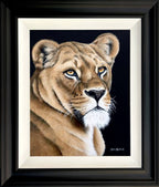 Sophie Bliss Kilpatrick - Lioness