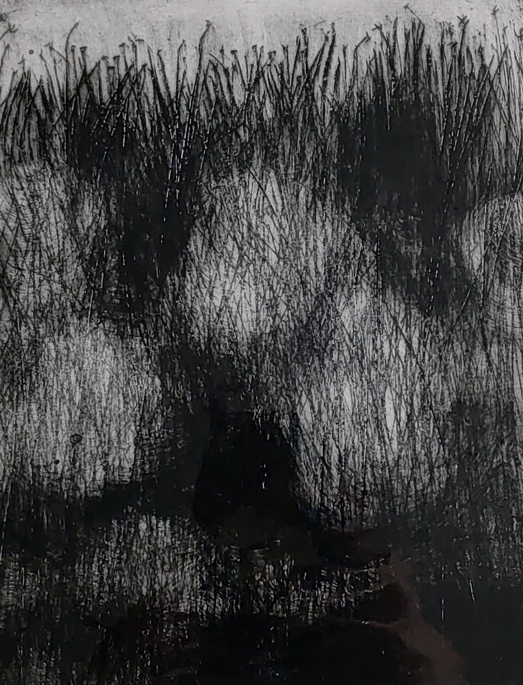 Pauline Wood- Dark Grasses, Mixed Media Printmaking - Primrose Gallery and Framing 
