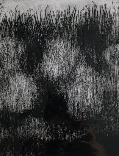Pauline Wood- Dark Grasses, Mixed Media Printmaking - Primrose Gallery and Framing 