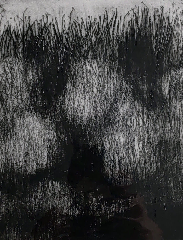 Pauline Wood- Dark Grasses, Mixed Media Printmaking