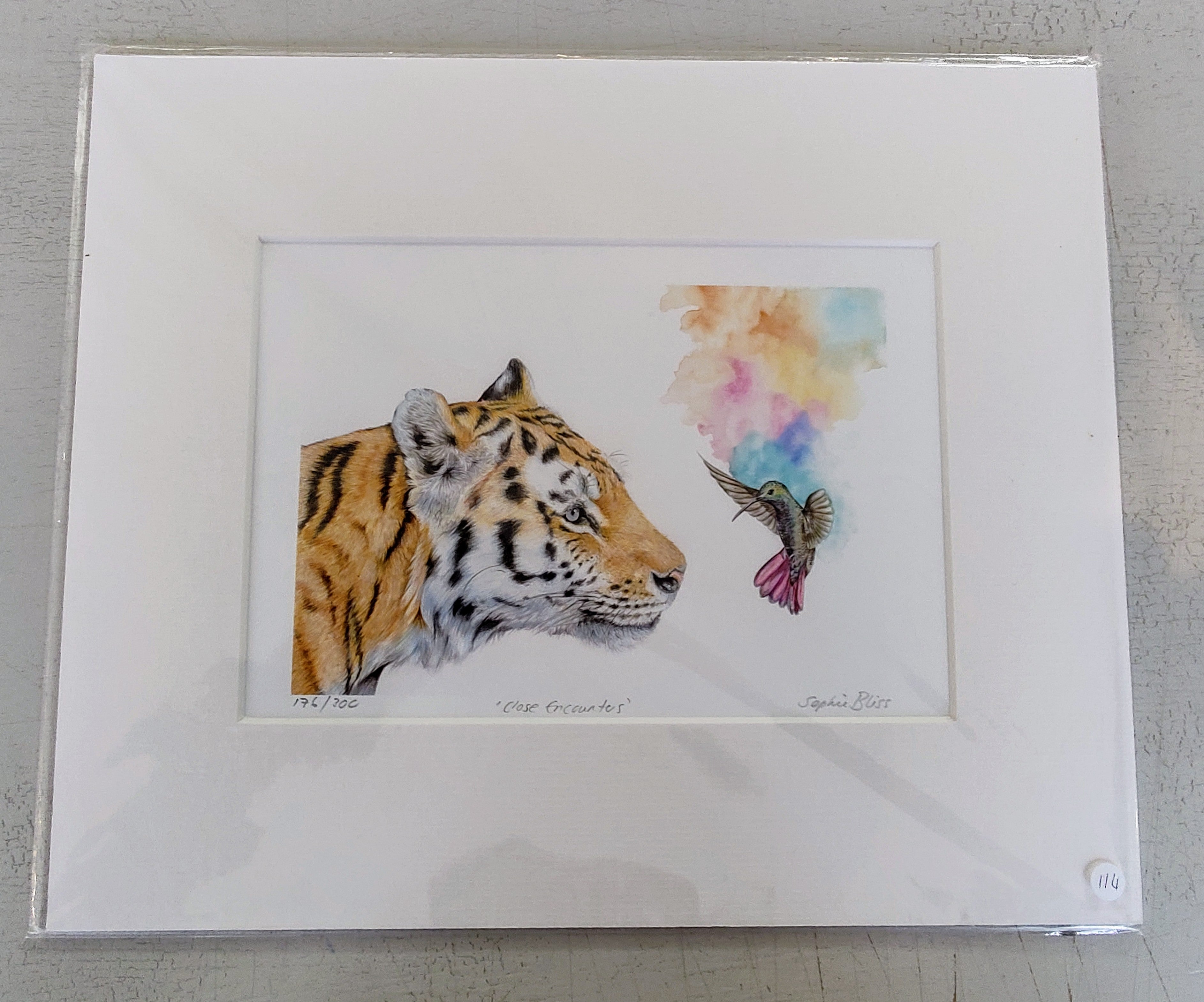 Sophie Bliss Kilpatrick- Close Encounters, Limited Edition Mounted Print - Primrose Gallery and Framing 