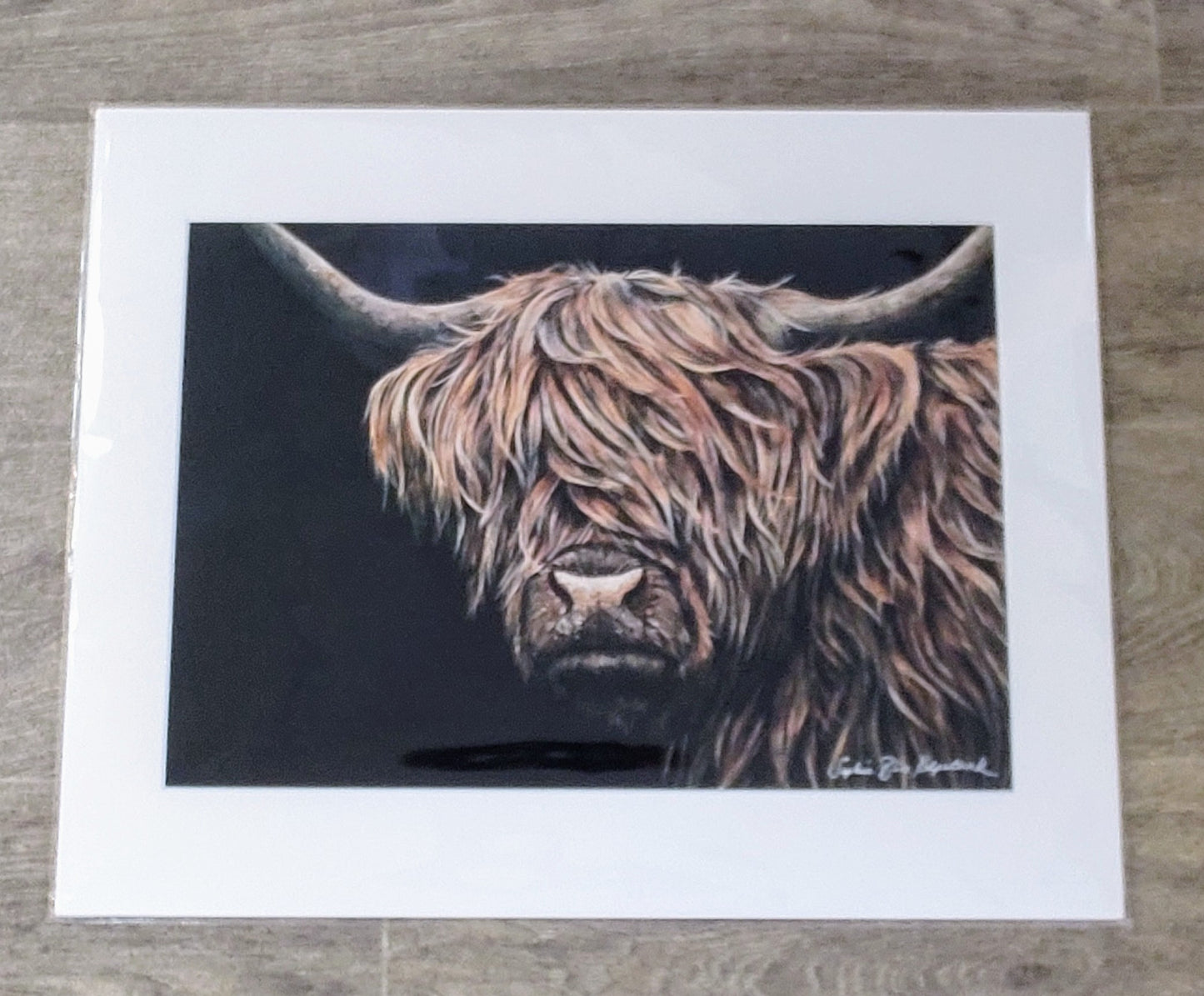 Sophie Bliss Kilpatrick- Highland Cow, Mounted Print