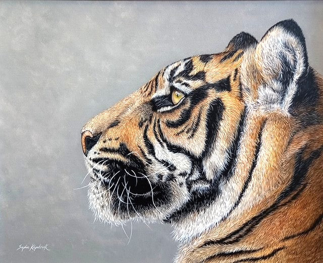 Sophie Bliss Kilpatrick - Stop and Stare