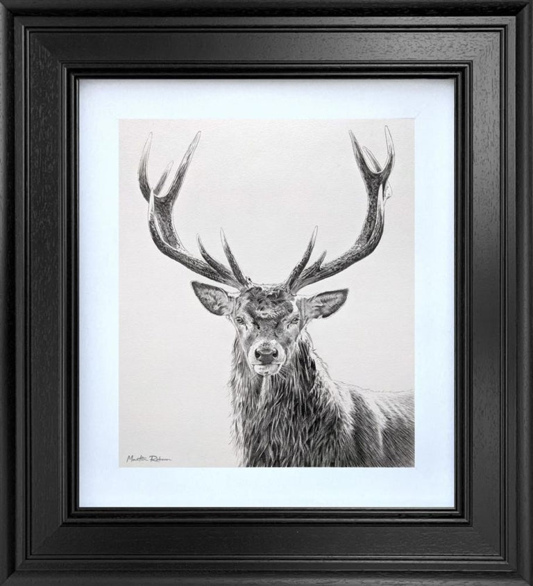 Martin Robson - The Highland Soverign - Study