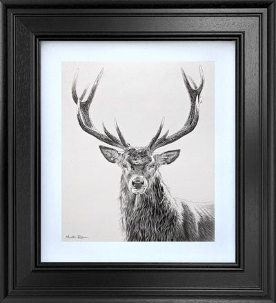 Martin Robson - The Highland Soverign - Study