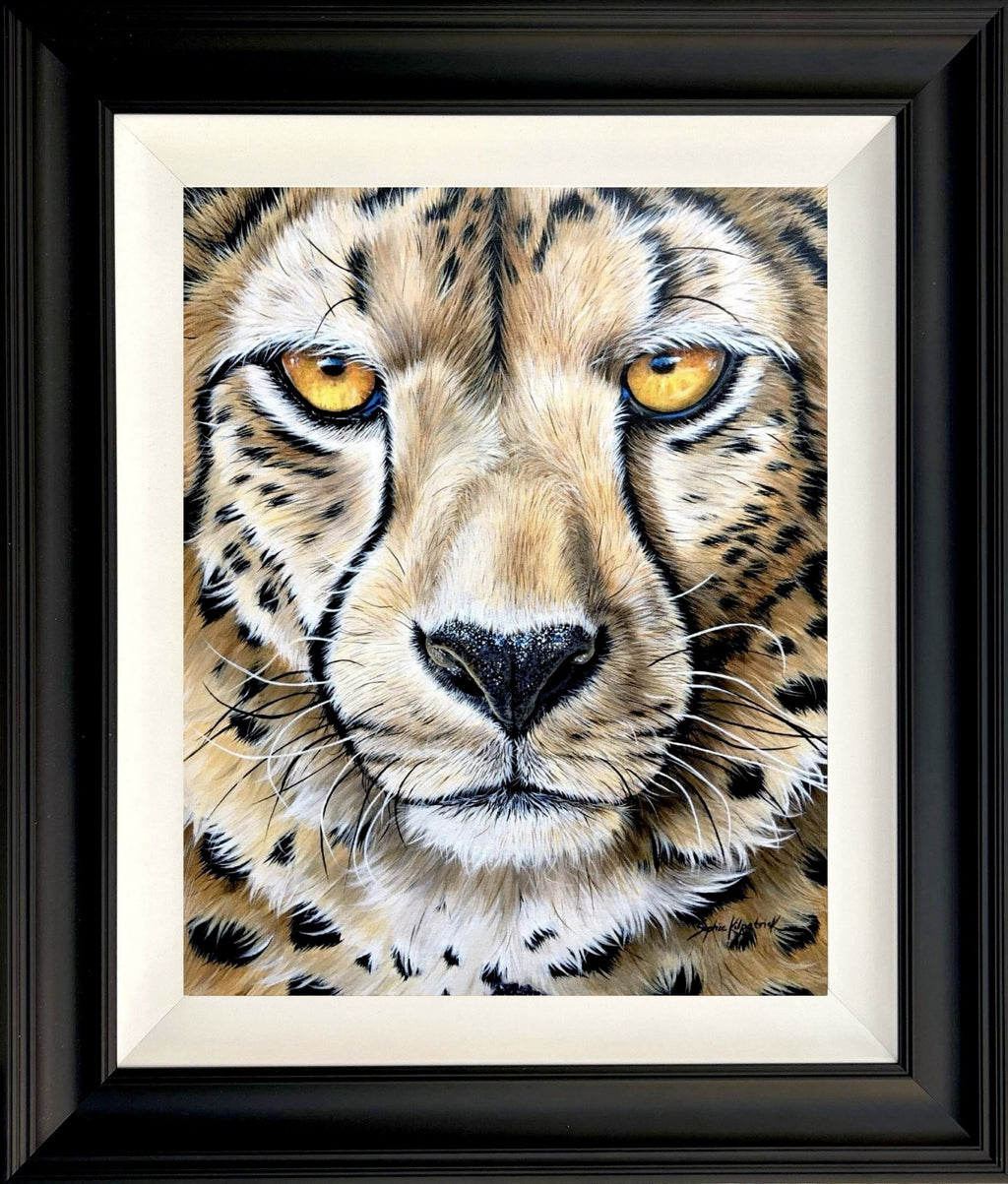 Sophie Bliss Kilpatrick - Up Close