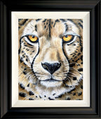 Sophie Bliss Kilpatrick - Up Close