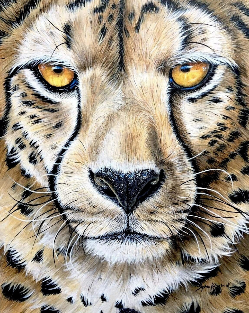 Sophie Bliss Kilpatrick - Up Close