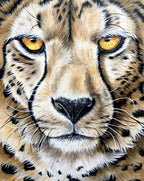 Sophie Bliss Kilpatrick - Up Close