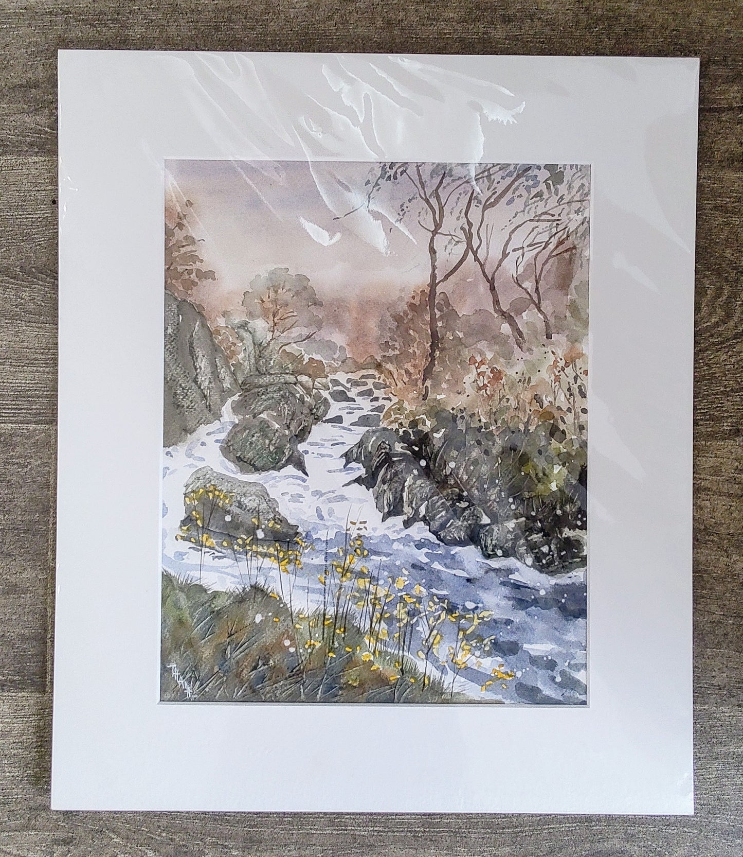 Xuan Thanh- North Wales, Babbling Brook, Original Mounted Watercolour