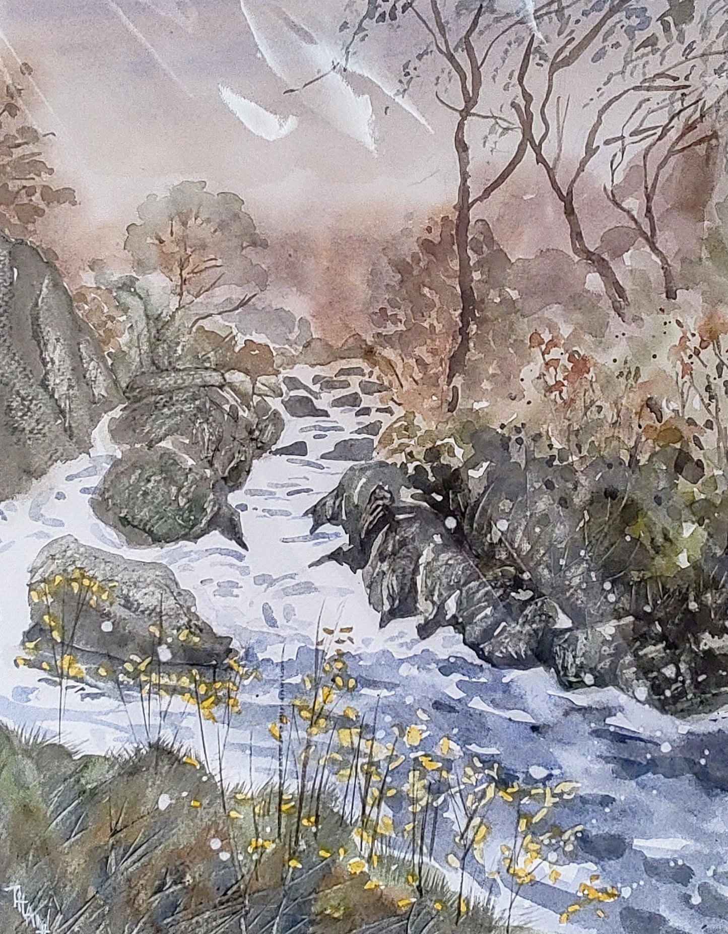 Xuan Thanh- North Wales, Babbling Brook, Original Mounted Watercolour