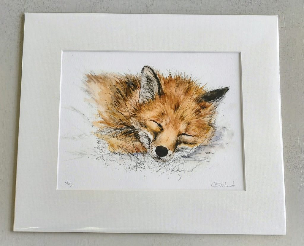 Anne Gilbert - Adorable Sleeping Fox limited Edition Print - Primrose Gallery and Framing 