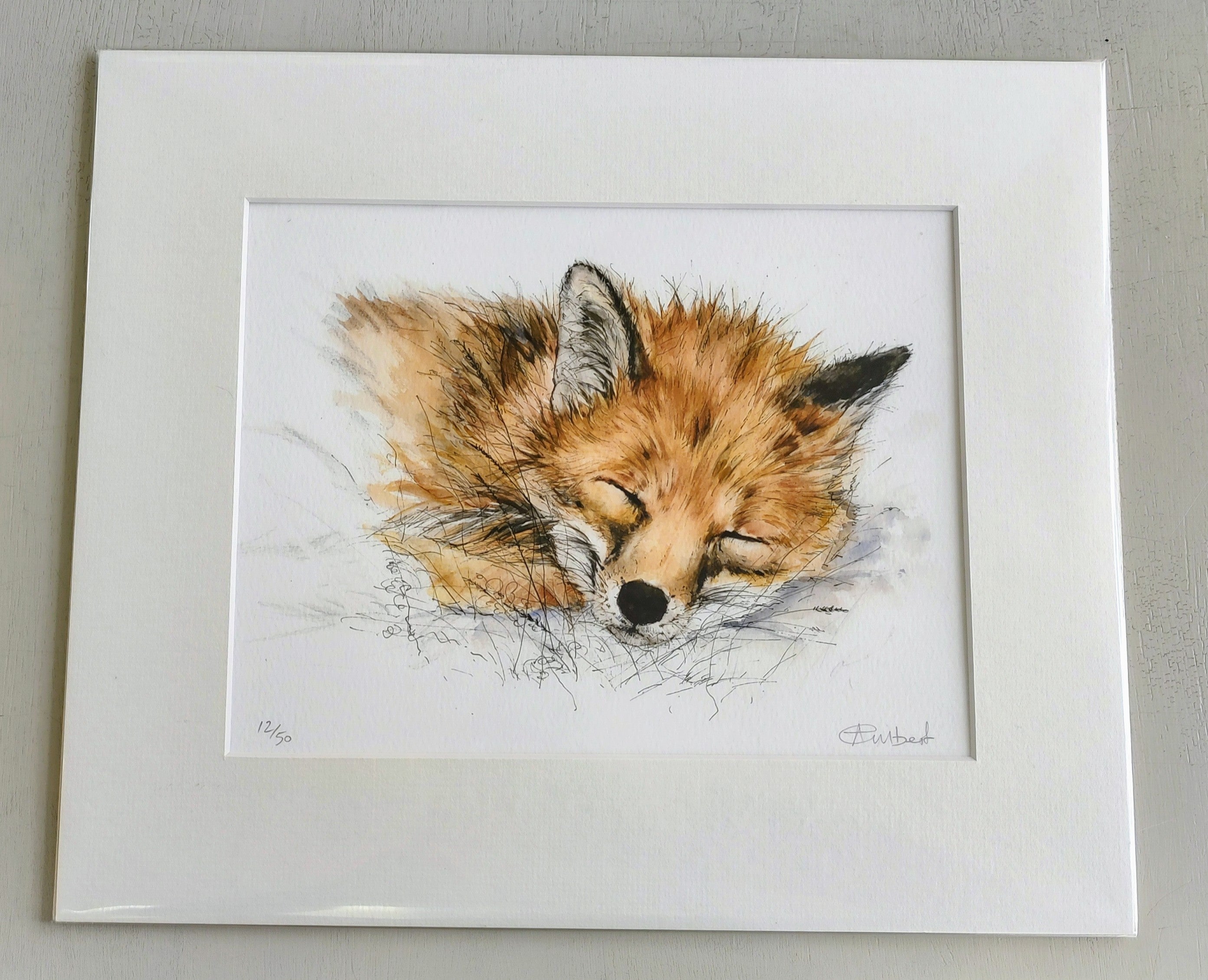 Anne Gilbert - Adorable Sleeping Fox limited Edition Print - Primrose Gallery and Framing 