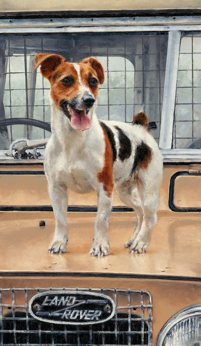 Anthony Dobson- On Safari, Framed Limited Edition Print - Primrose Gallery and Framing 