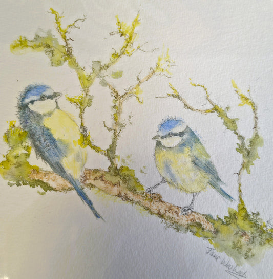 Jane Warwick - Bella and Bertie, Original Mounted pen, Ink and Watercolour