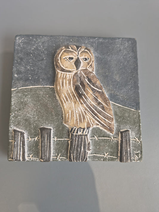 Dawn Isaac- Ceramic Hanging Plaque - Tawny Owl