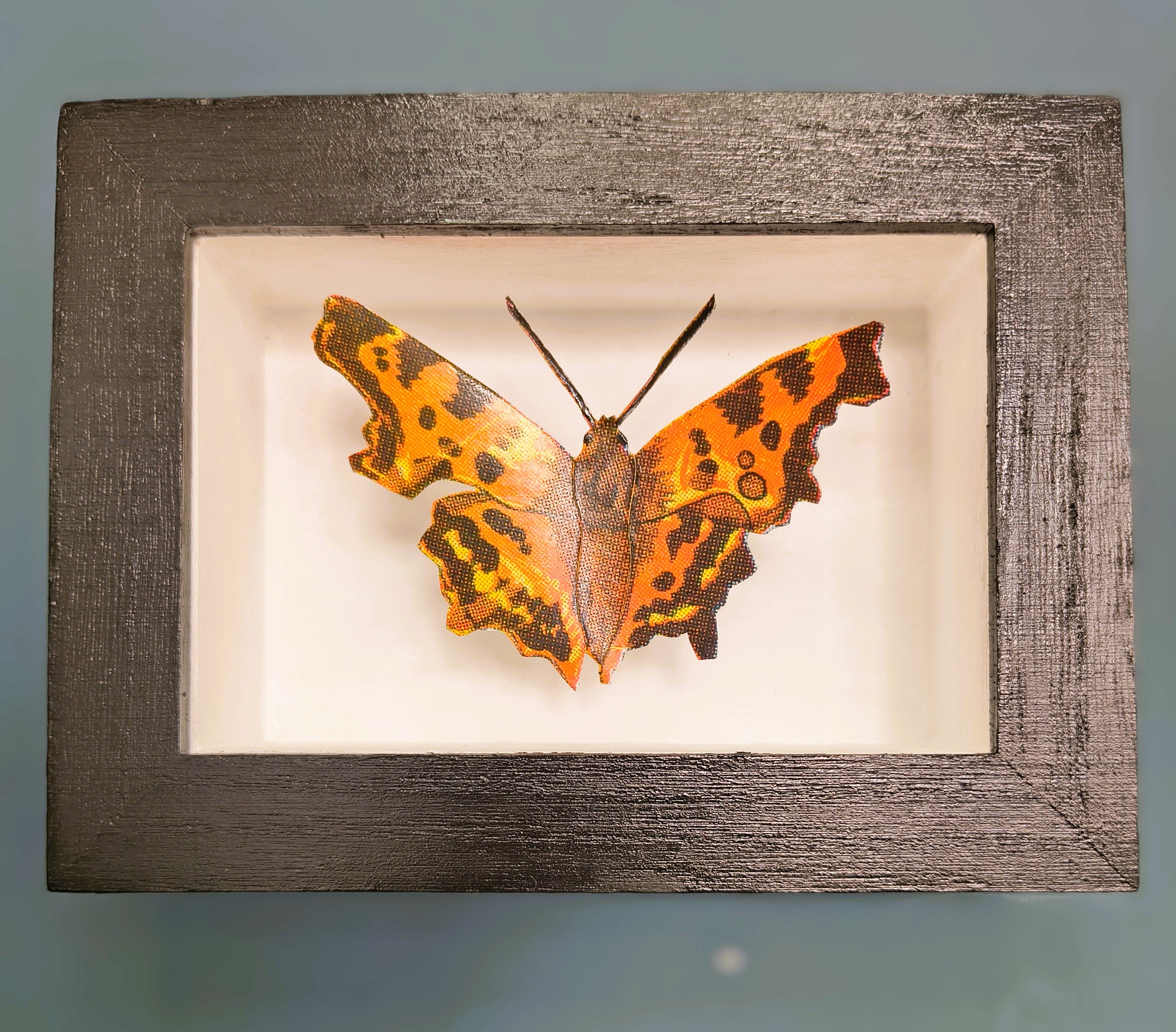 Amelia Bown - Comma Butterfly, Original Ltd Edition Framed Mini Screen Print - Primrose Gallery and Framing 