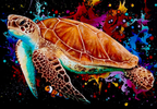 Sophie Bliss Kilpatrick- Finding Nemo, Mounted Limited Edition Print - Primrose Gallery and Framing 
