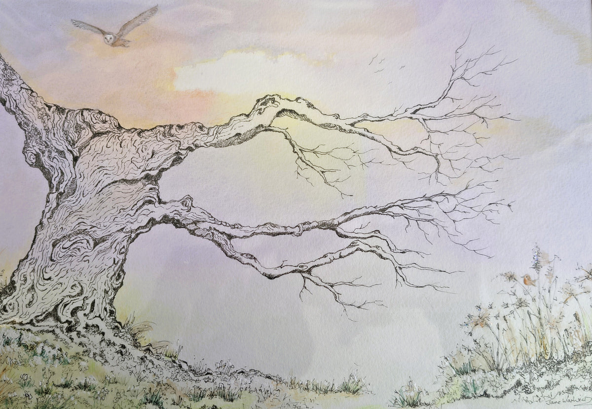 Jane Warwick - Flying Home, Original Mounted pen, Ink and Watercolour
