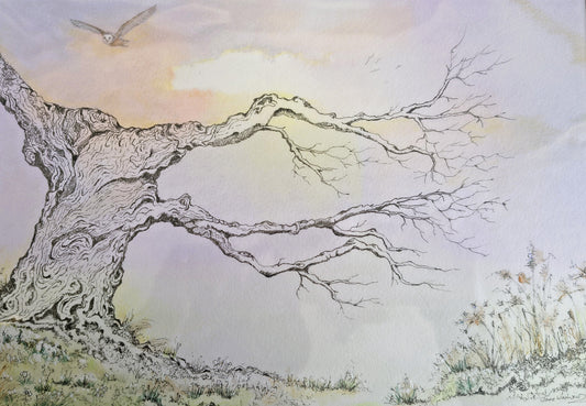 Jane Warwick - Flying Home, Original Mounted pen, Ink and Watercolour