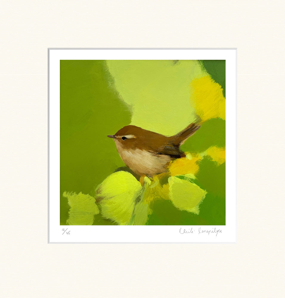 chiff chaff in lush greens by Heidi Langridge — publisher mounted print, unframed