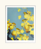 goldcrests in yellow and grey by Heidi Langridge — publisher mounted print, unframed
