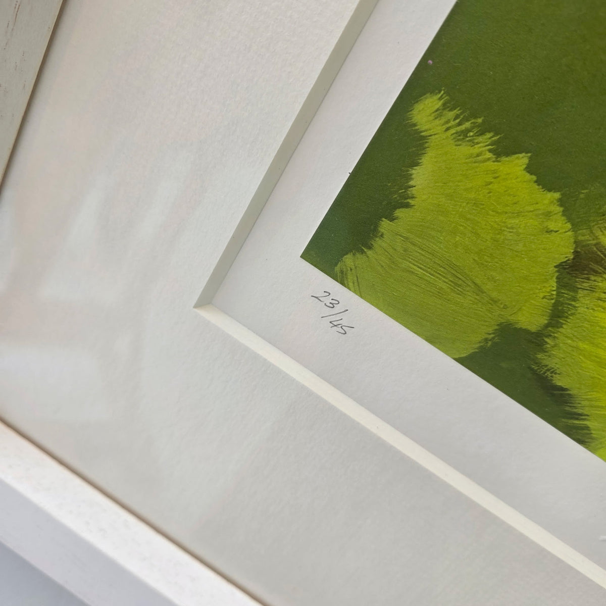 Chiff Chaff In Lush Greens by Heidi Langridge, edition detail, photographed framed for Primrose Gallery
