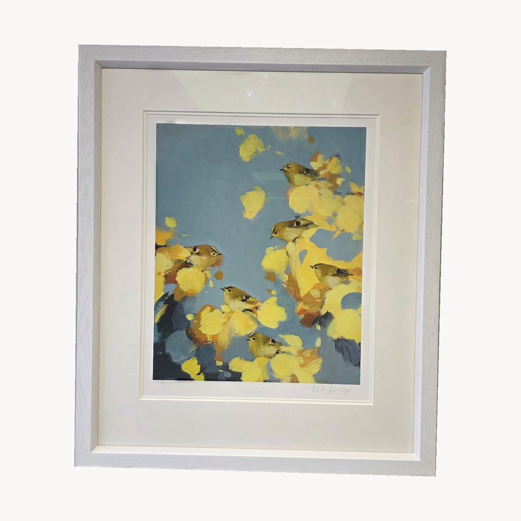 Goldcrests In Yellow And Grey by Heidi Langridge, angle, photographed framed for Primrose Gallery