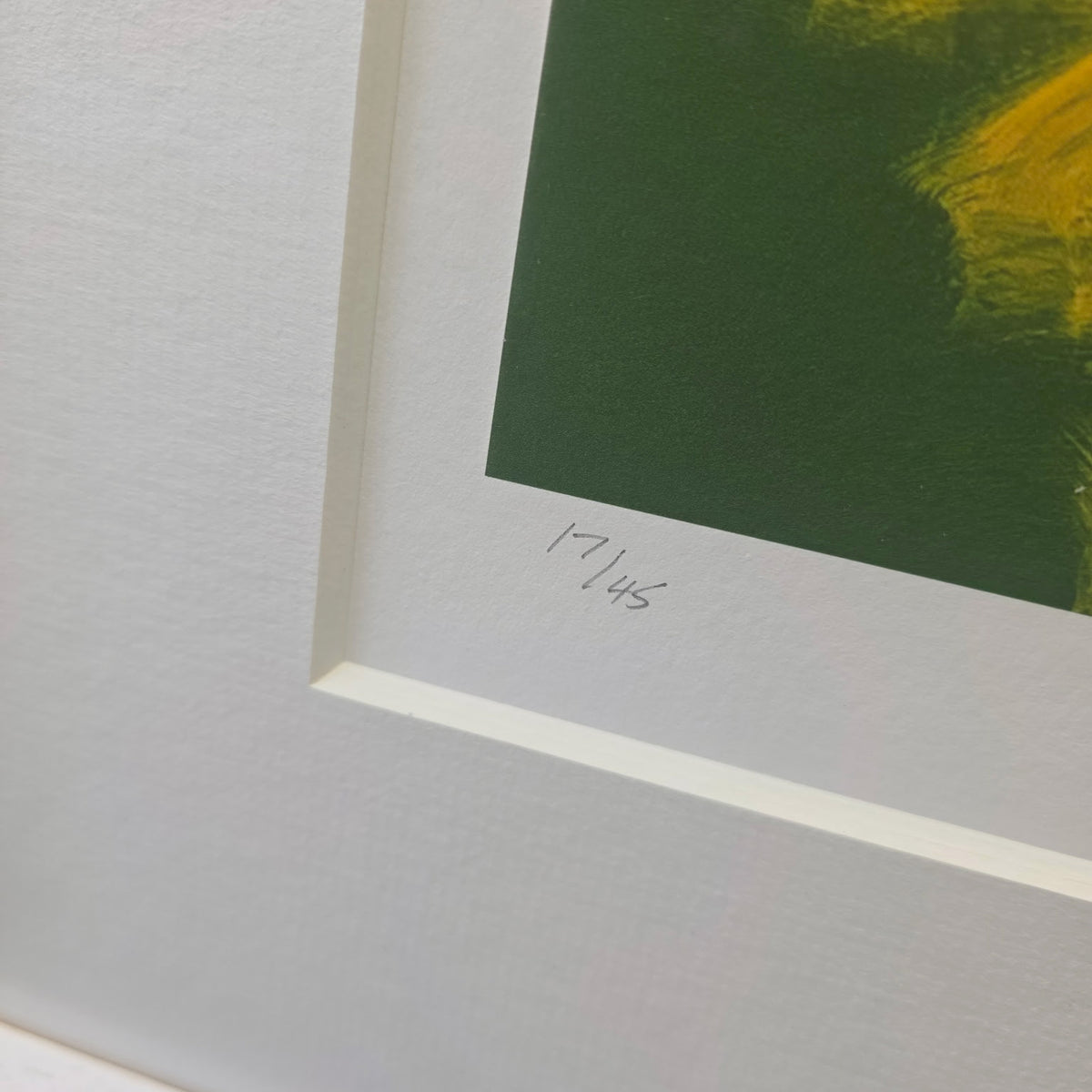 Sparrow In Racing Green With Yellow by Heidi Langridge, edition detail, photographed framed for Primrose Gallery