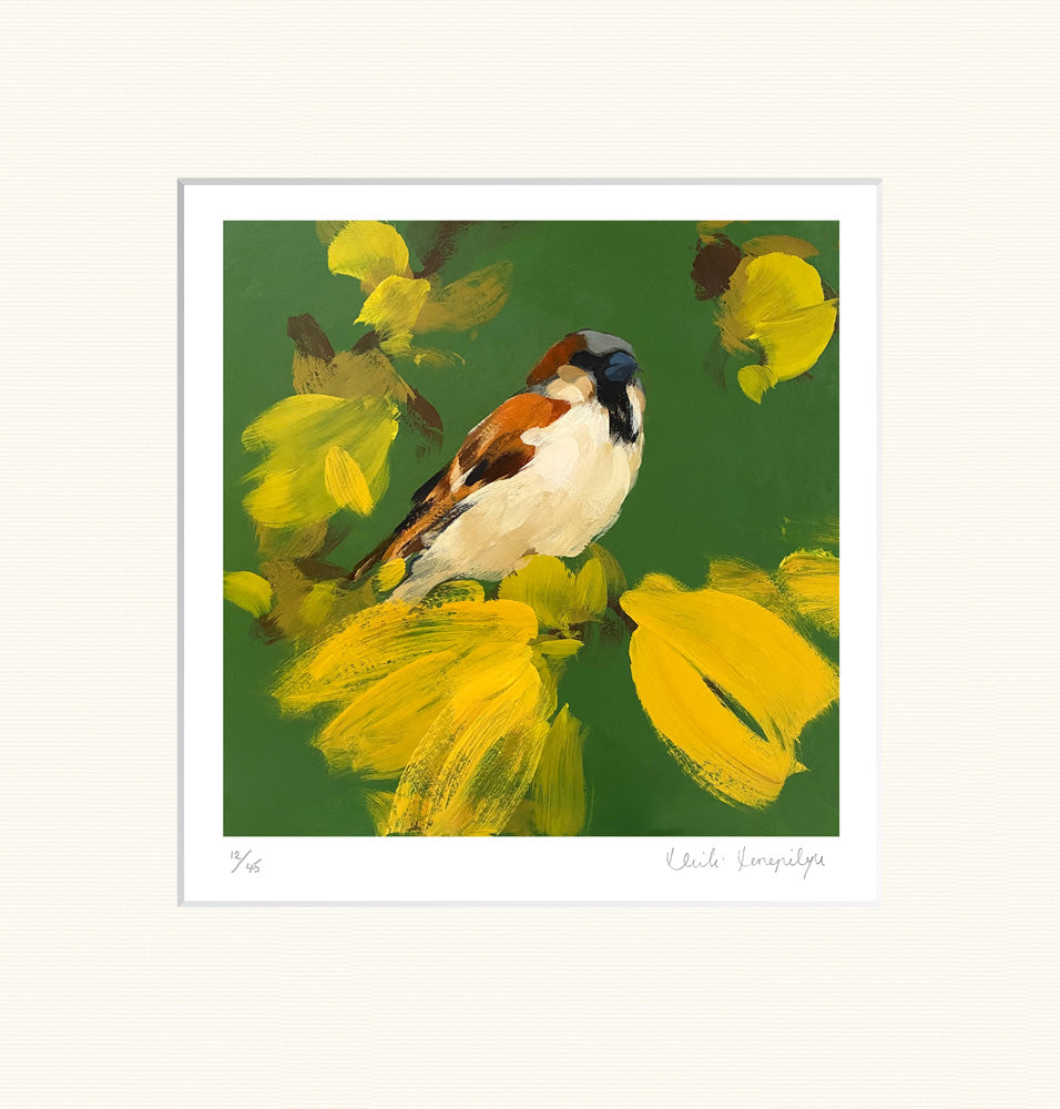 sparrow in racing green with yellow by Heidi Langridge — publisher mounted print, unframed