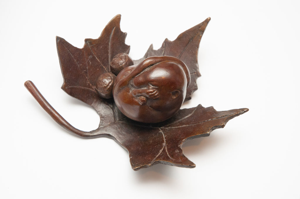 Hibernating Dormouse on Maple Leaf by Helen Lopez — overhead view of leaf and acorns