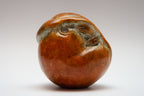 Hibernating Dormouse by Helen Lopez — side view
