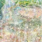 Artwork detail — Carmen Fantasy by Iris Grace, cropped directly from the supplied image