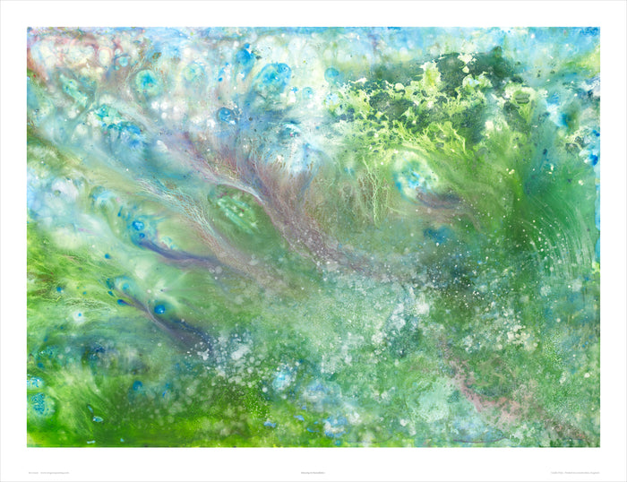 Iris Grace – Dancing in Snowflakes – Limited Edition Print