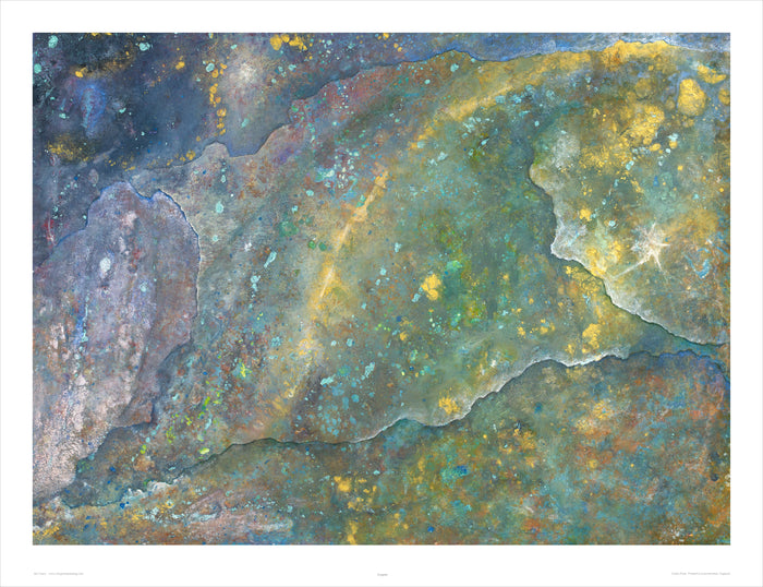 Iris Grace – Longma – Limited Edition Print