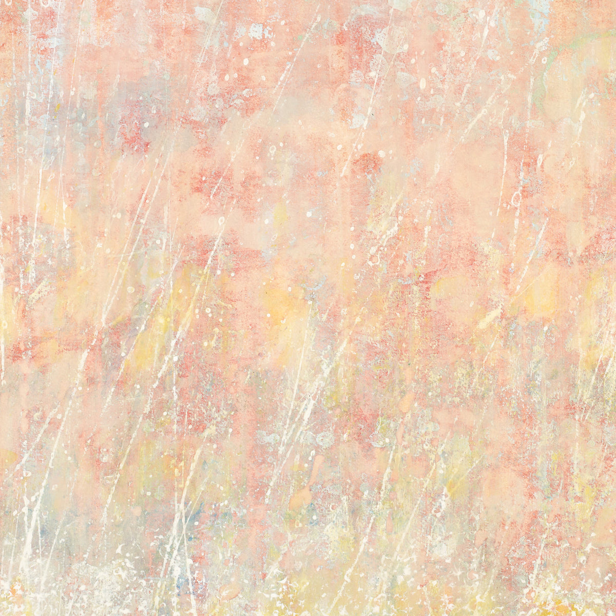 Artwork detail — Paquita by Iris Grace, cropped directly from the supplied image